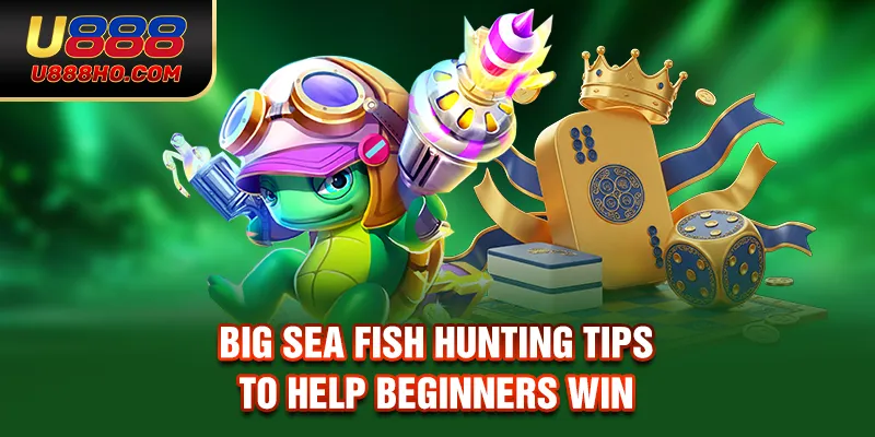 Big sea fish hunting tips to help beginners win